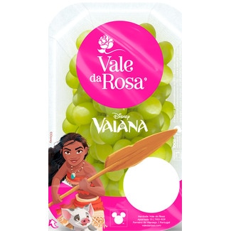 Uva Branca S/Grainha embalagem 400 g