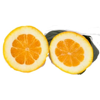 Toranja Amarela Seleção Peso Aproximado unidade 360 g