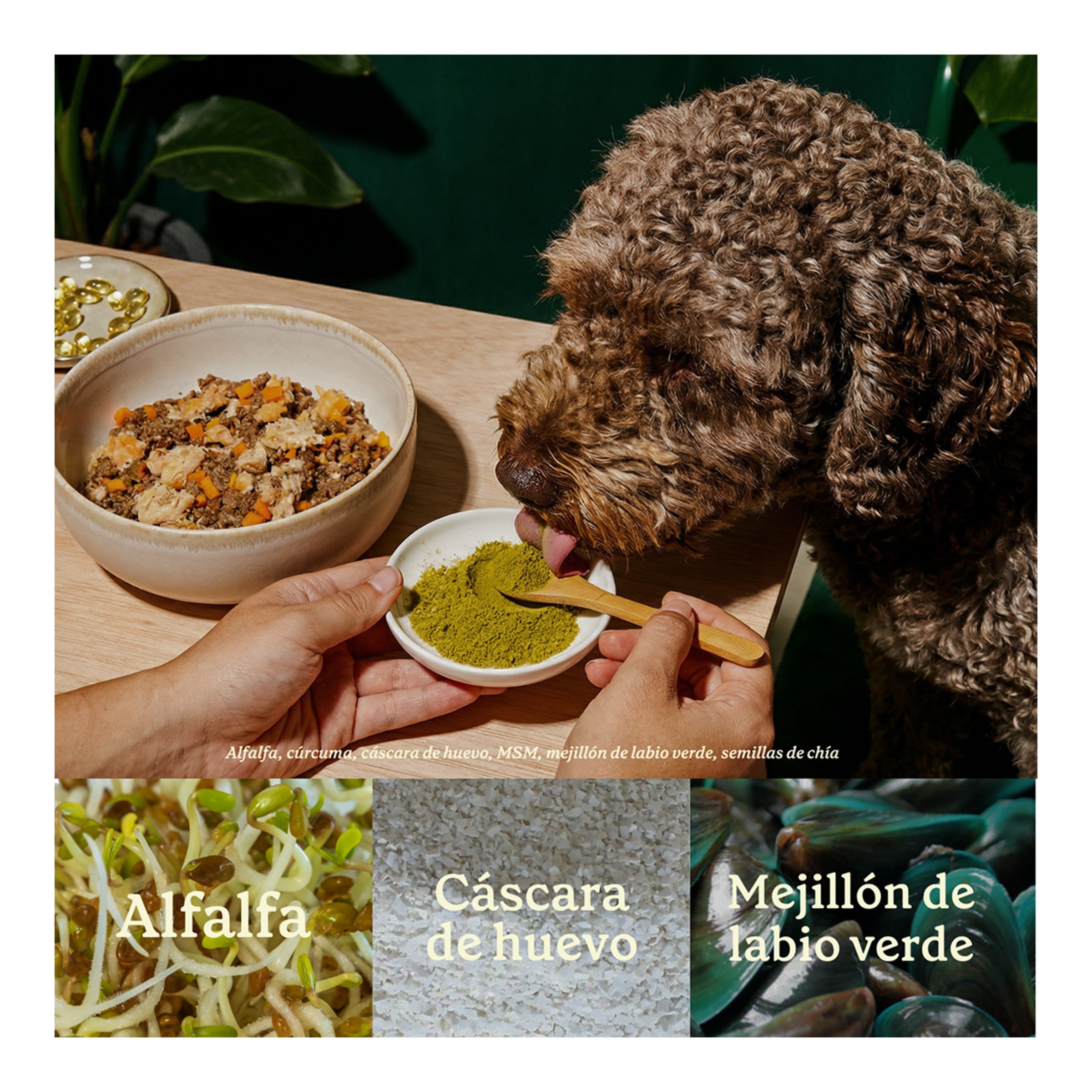 Suplemento para perros y gatos articulaciones de acero Wild Balance 4