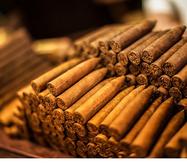 Gourmet Experience - Cigar World