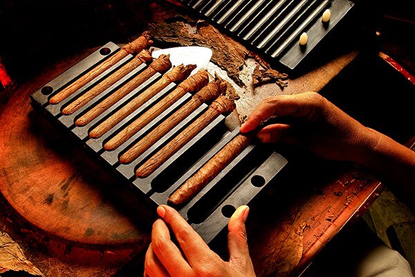 Gourmet Experience - Cigar World