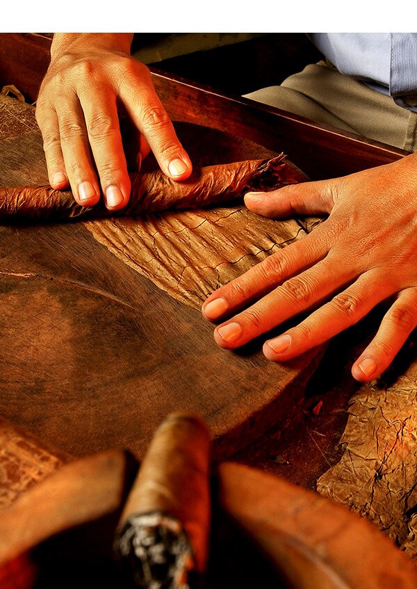 Gourmet Experience - Cigar World
