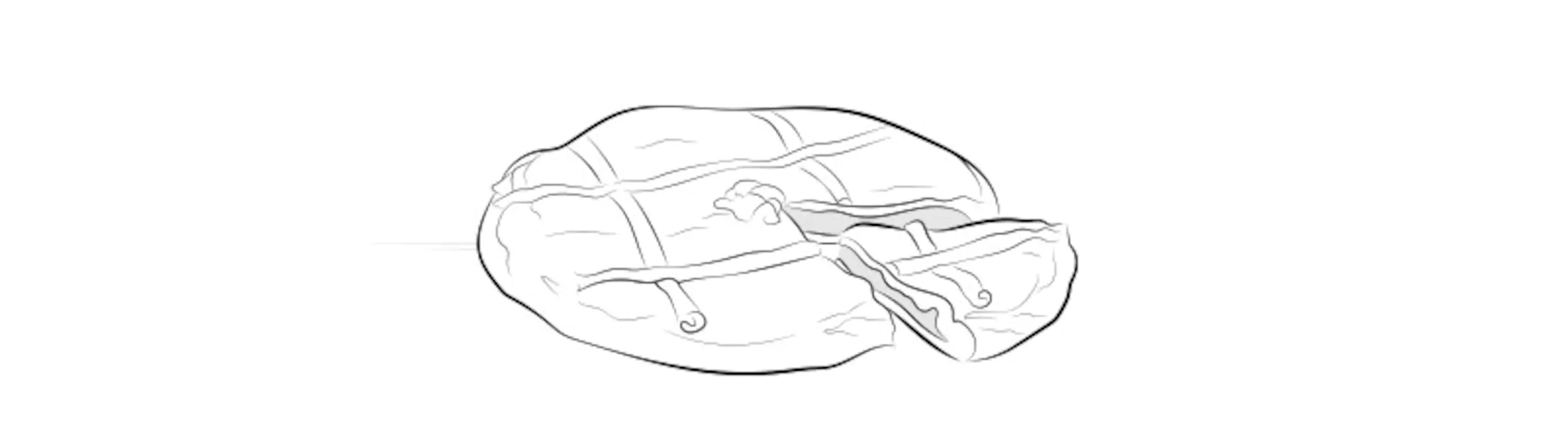 empanadas