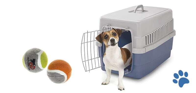 IMAC accesorios para perros