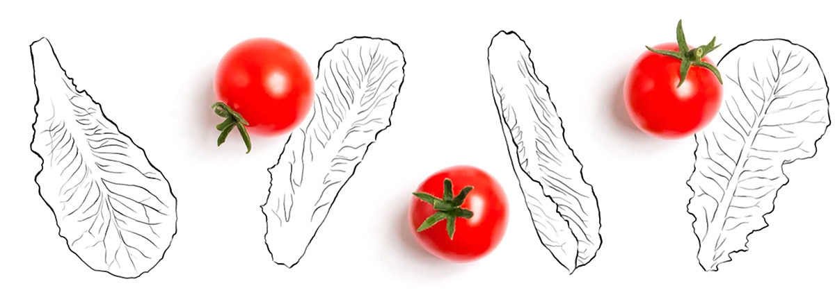 Dibujo 2
