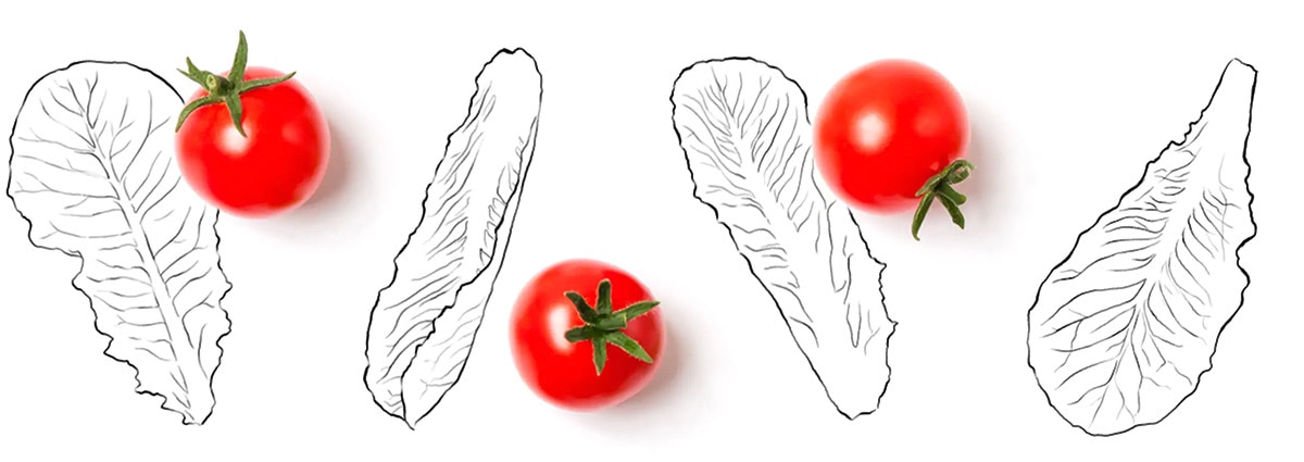 Dibujo 3