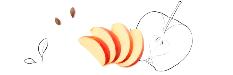 Dibujo manzana