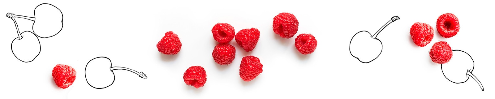 Dibujo frutos rojos