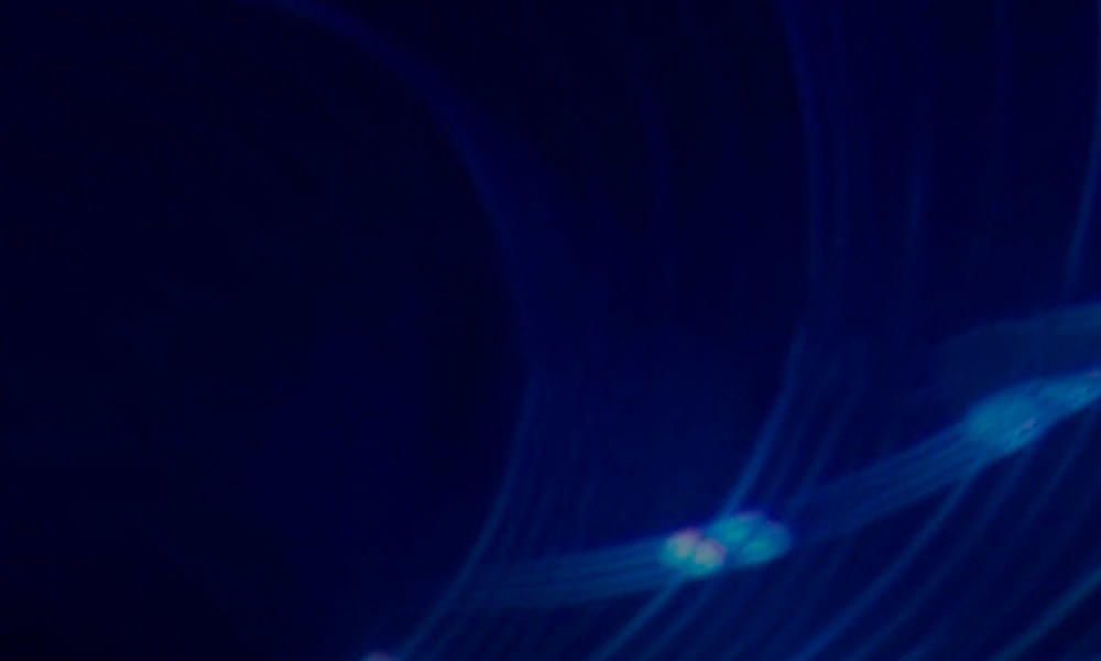 OralB