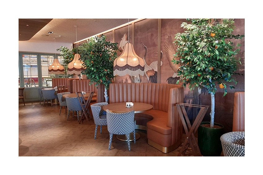 Restaurante Seleccion Roof47