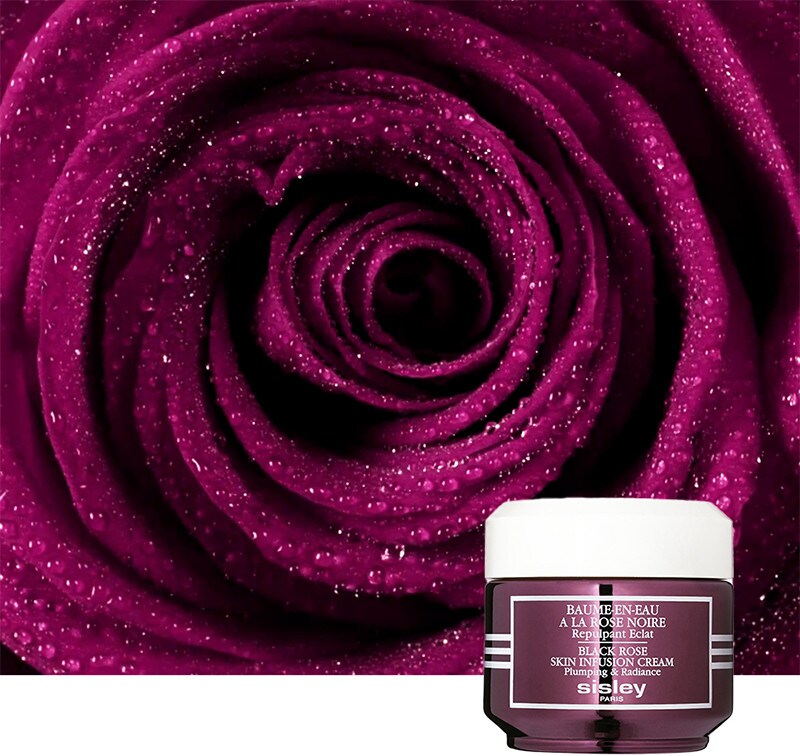 SISLEY · FAMILIA ROSA NEGRA