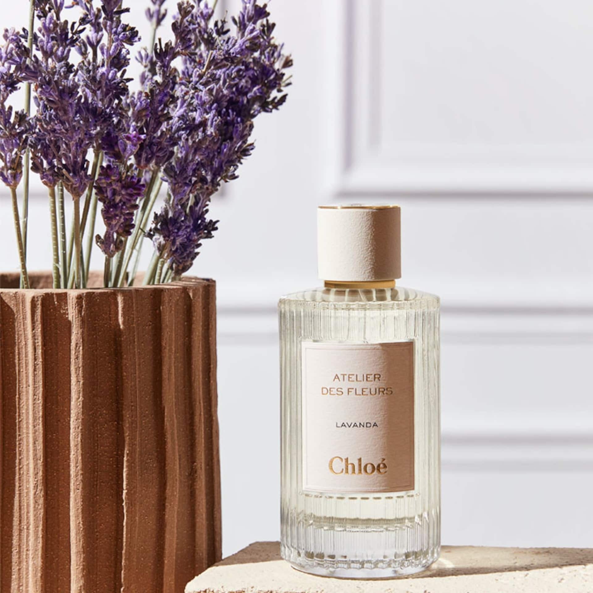 Lavanda