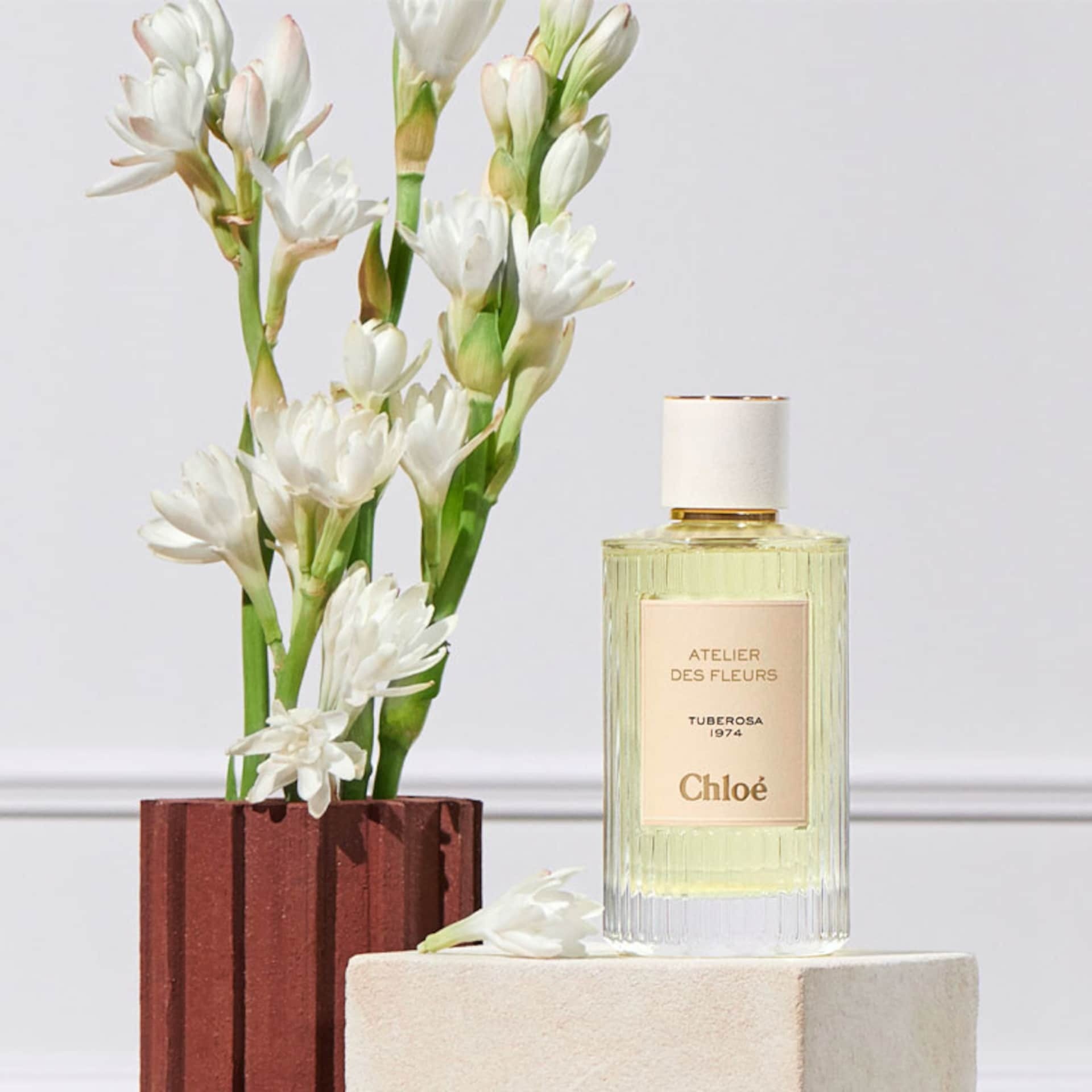 Tuberosa 1974