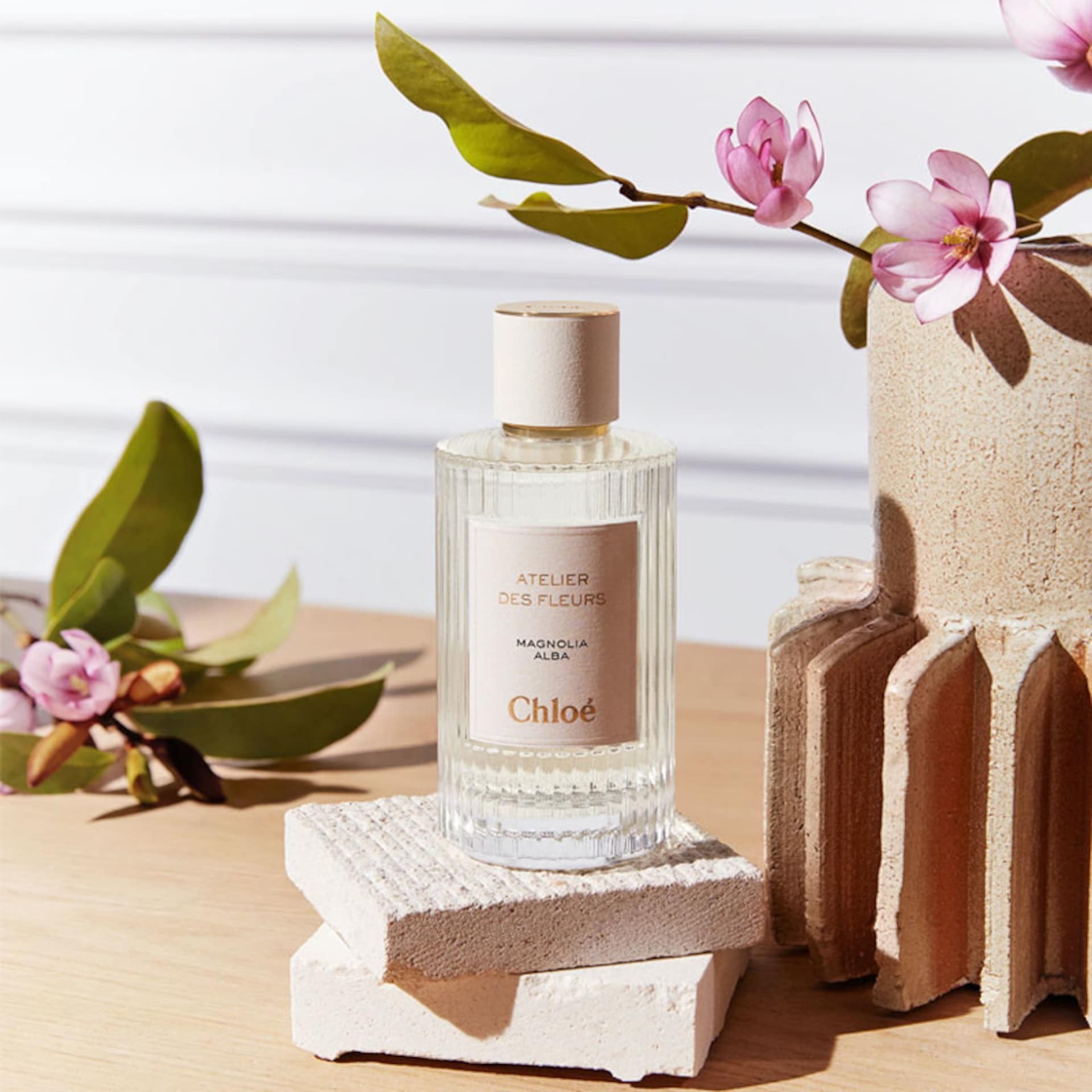 Magnolia Alba