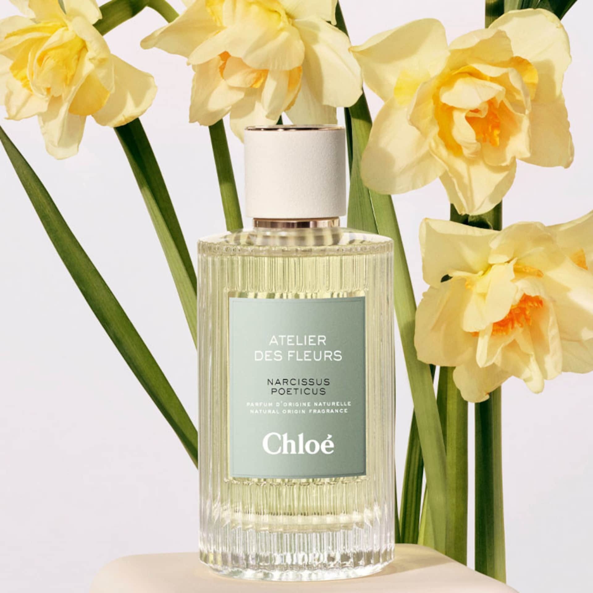 Narcissus Poeticus