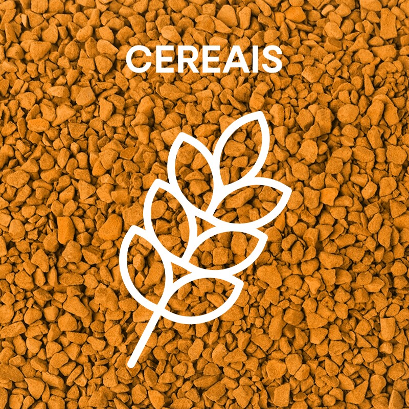 Cereais Cereais