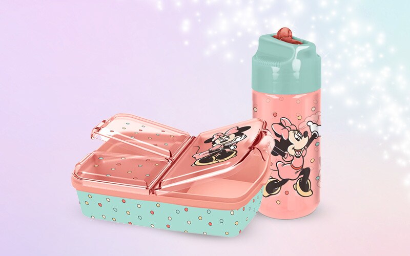 Casa Decoração Disney