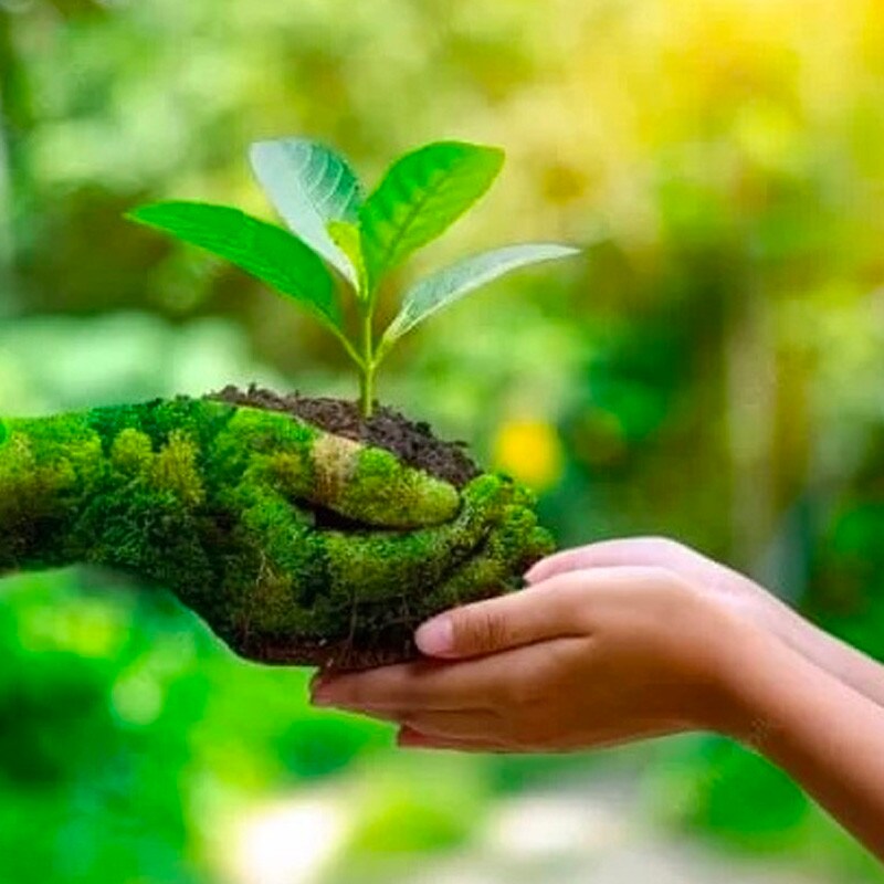 Imagem compromisso com o ambiente
