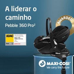 PEBBLE 360 PRO 