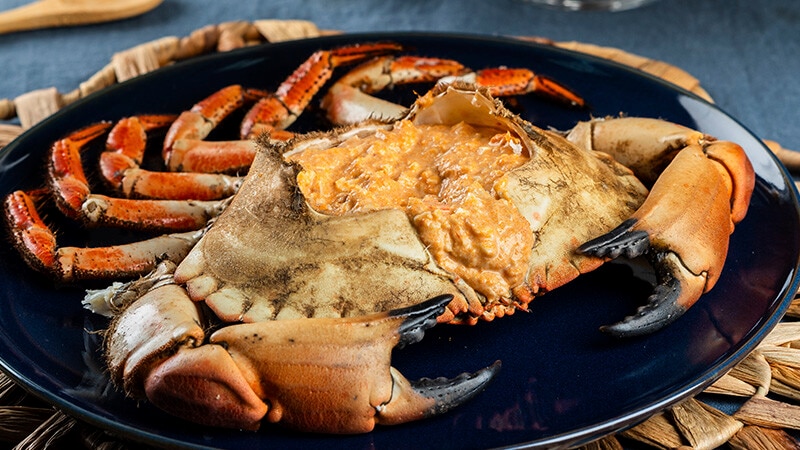 Casquinha de Sapateira
