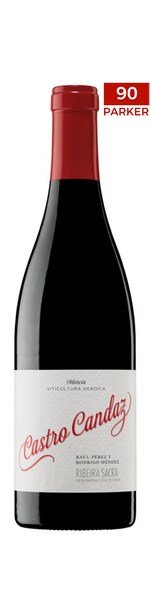1 Castro Candaz 2021 (DO Ribera Sacra