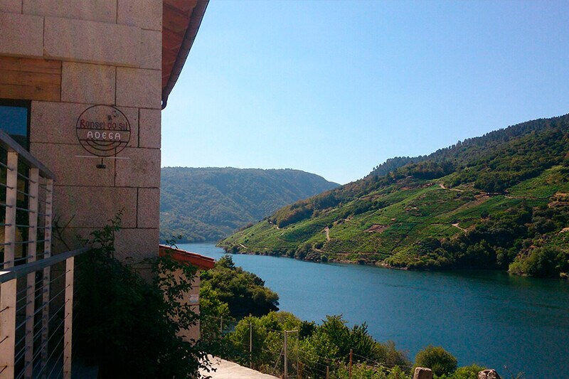 Bodegas Ronsel Do Sil (Ourense)