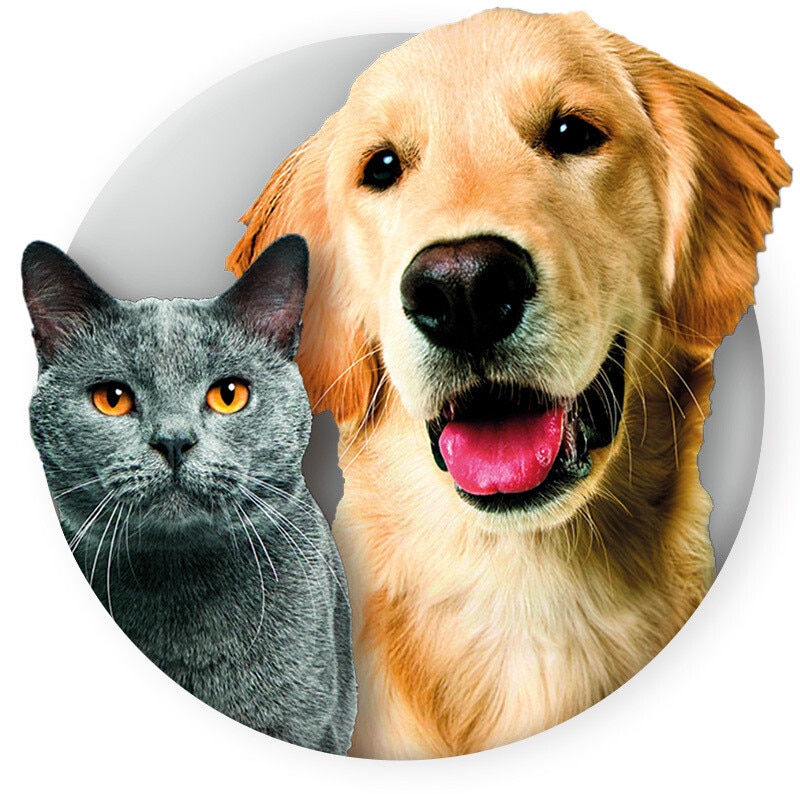 Pet Pro