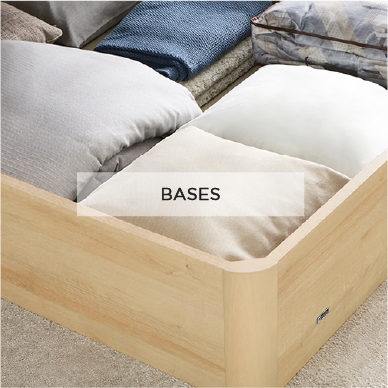 BASES
