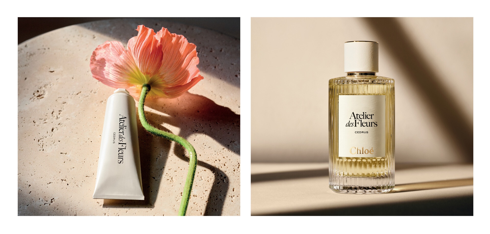 chloe atelier des fleurs