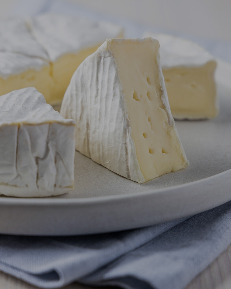 Queijo Cremoso