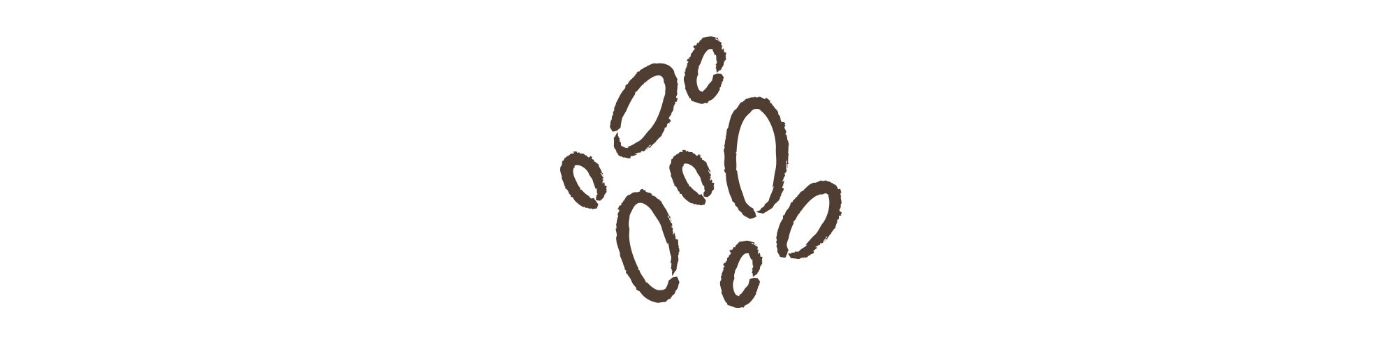 Hos2502 cervezas icono levadura