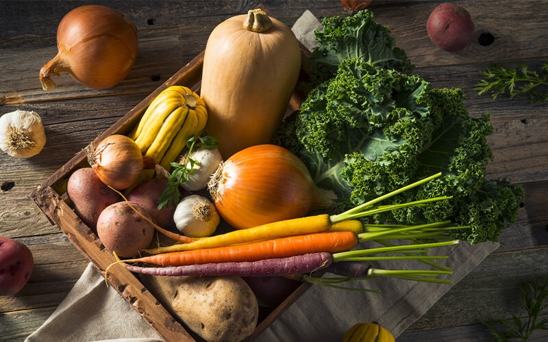 Produção ecológica