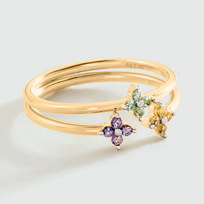 Anillos