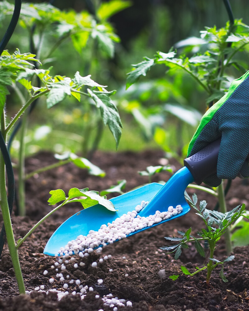 Fertilizantes