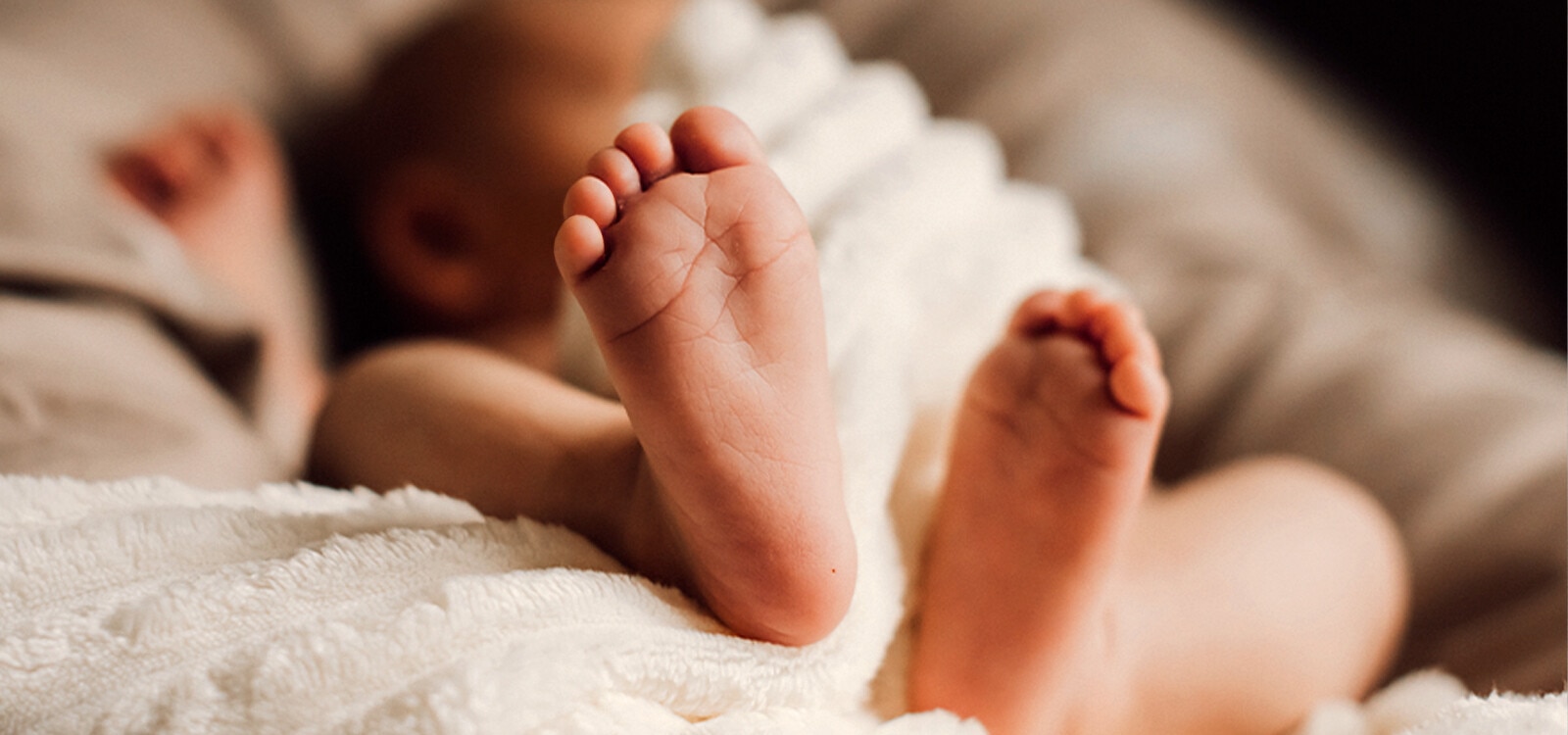 Baby Expert