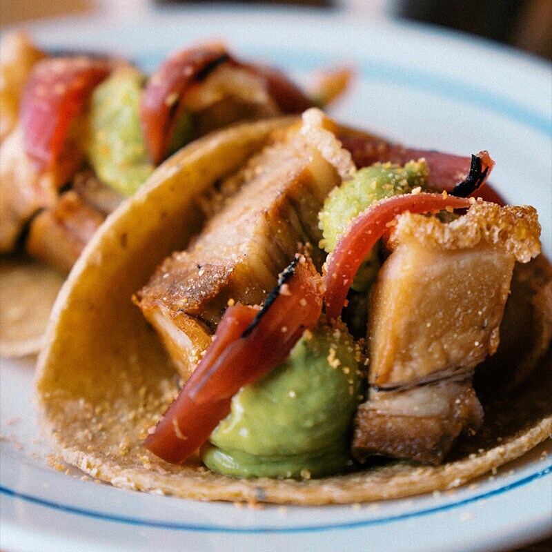 Taco de Carnitas com salsa de abacate