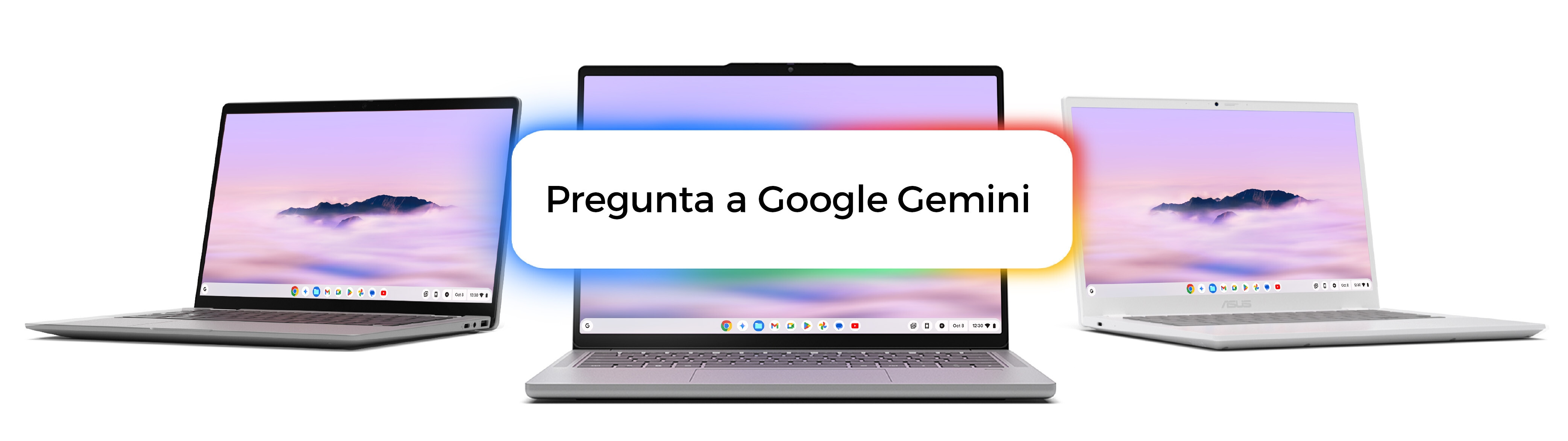 Pregunta a Google Gemini