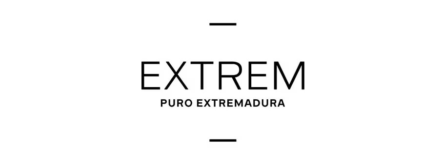 Logo cabeza