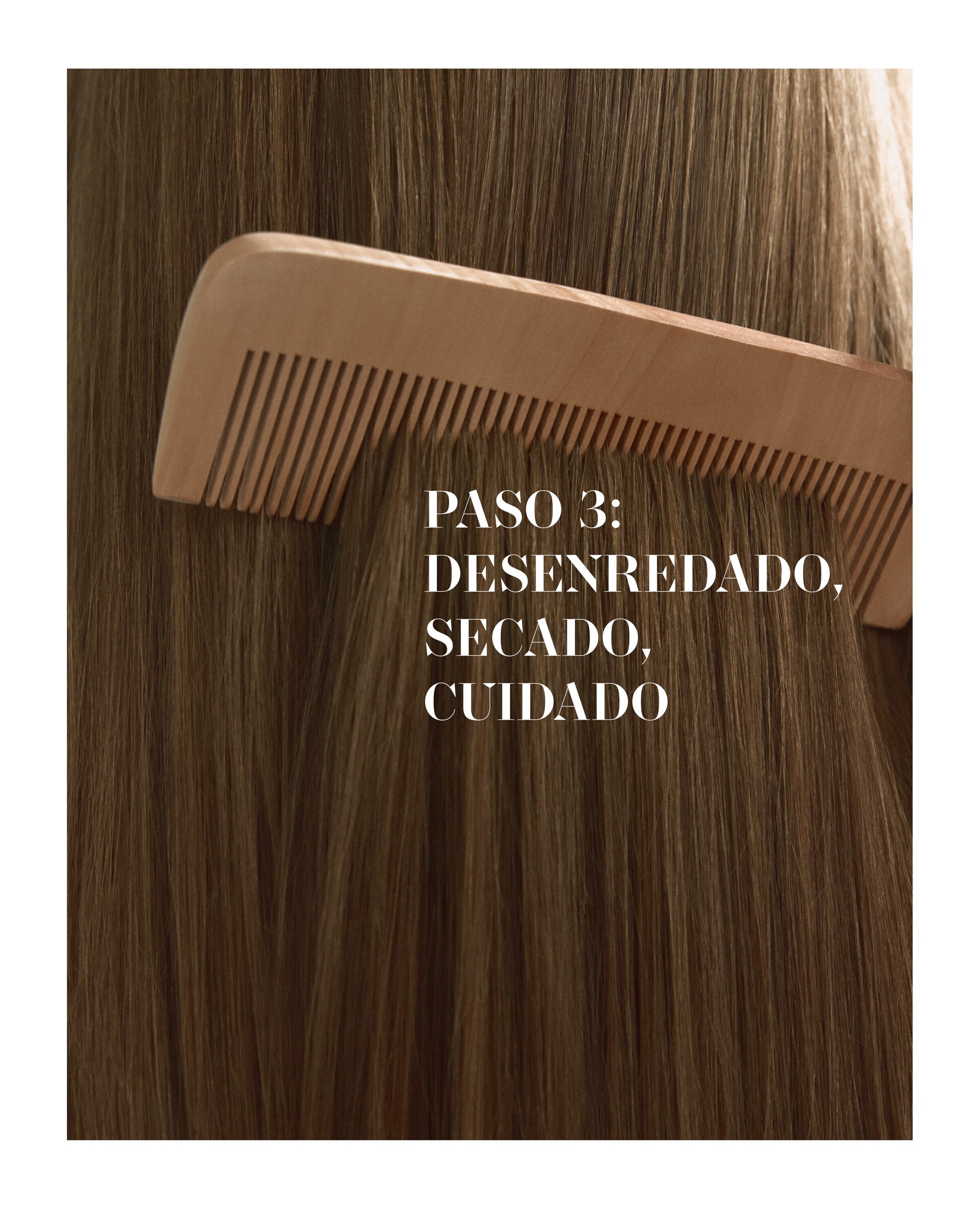 Beauty Collective: SETEP 3 DETANGLE DRY CARE