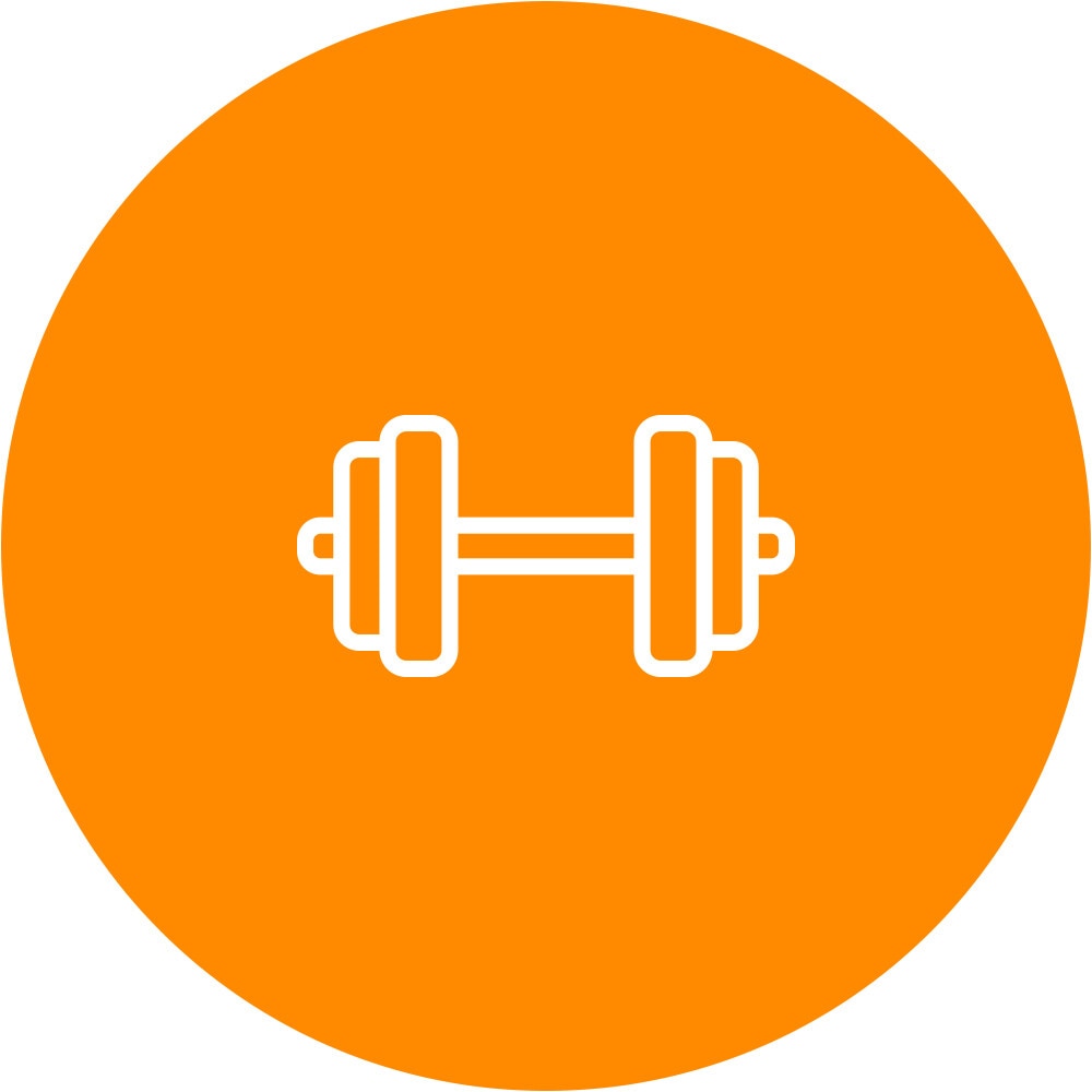 3. Entrenamiento