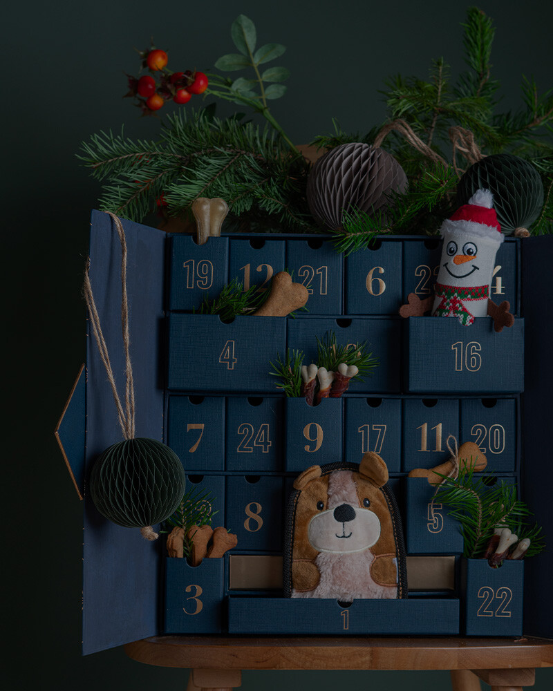 Calendários e Figuras