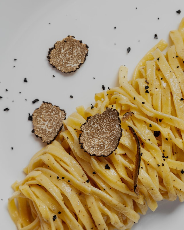 Trufas e Cogumelos