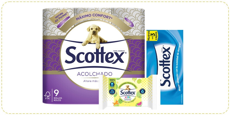 Scottex