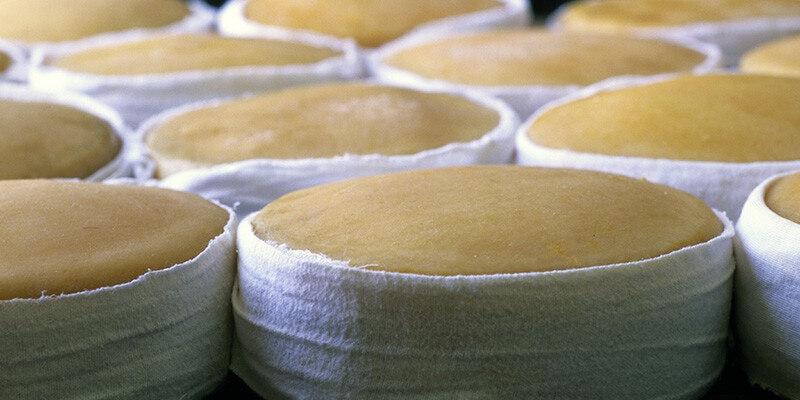 Queijo da Serra