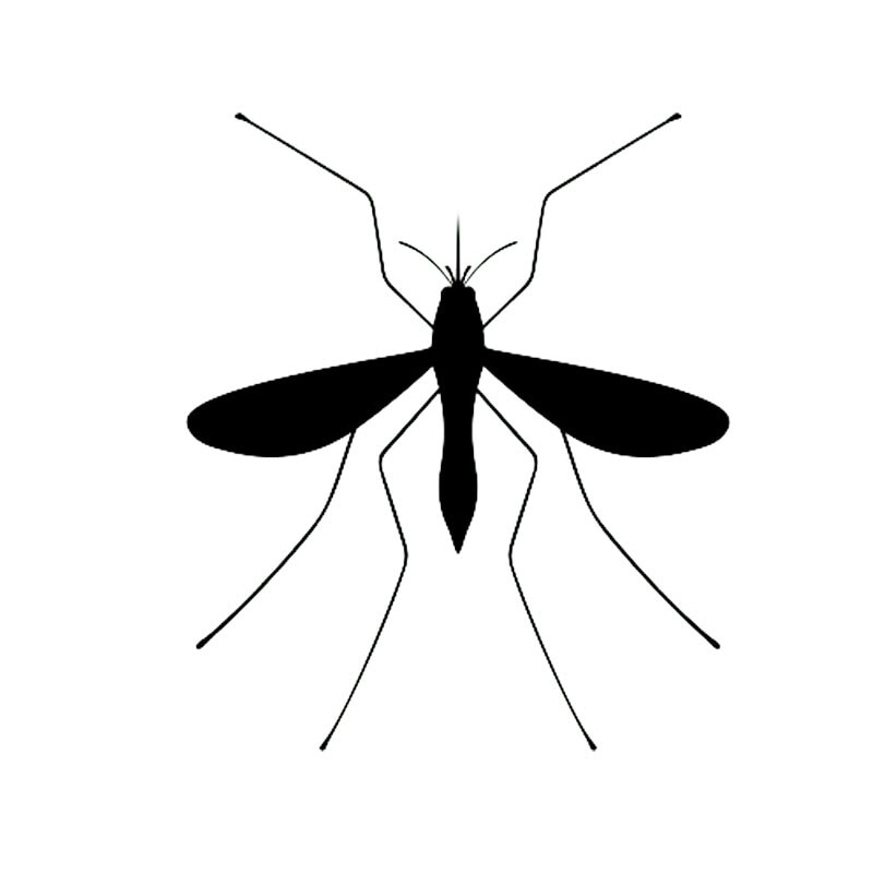 Mosquitos