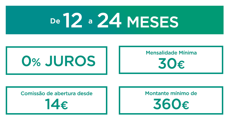 24 meses
