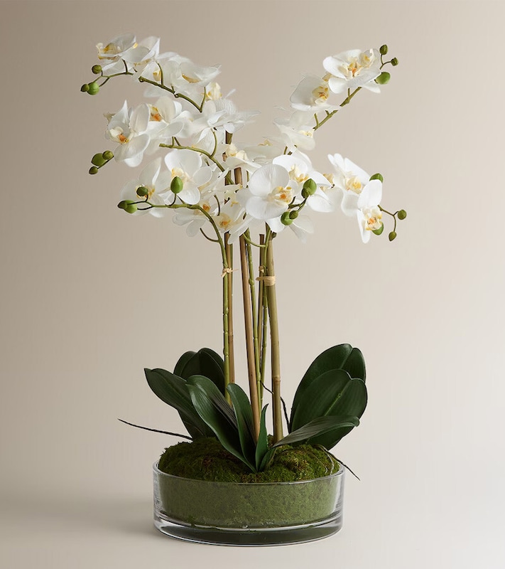 Plantas artificiais 