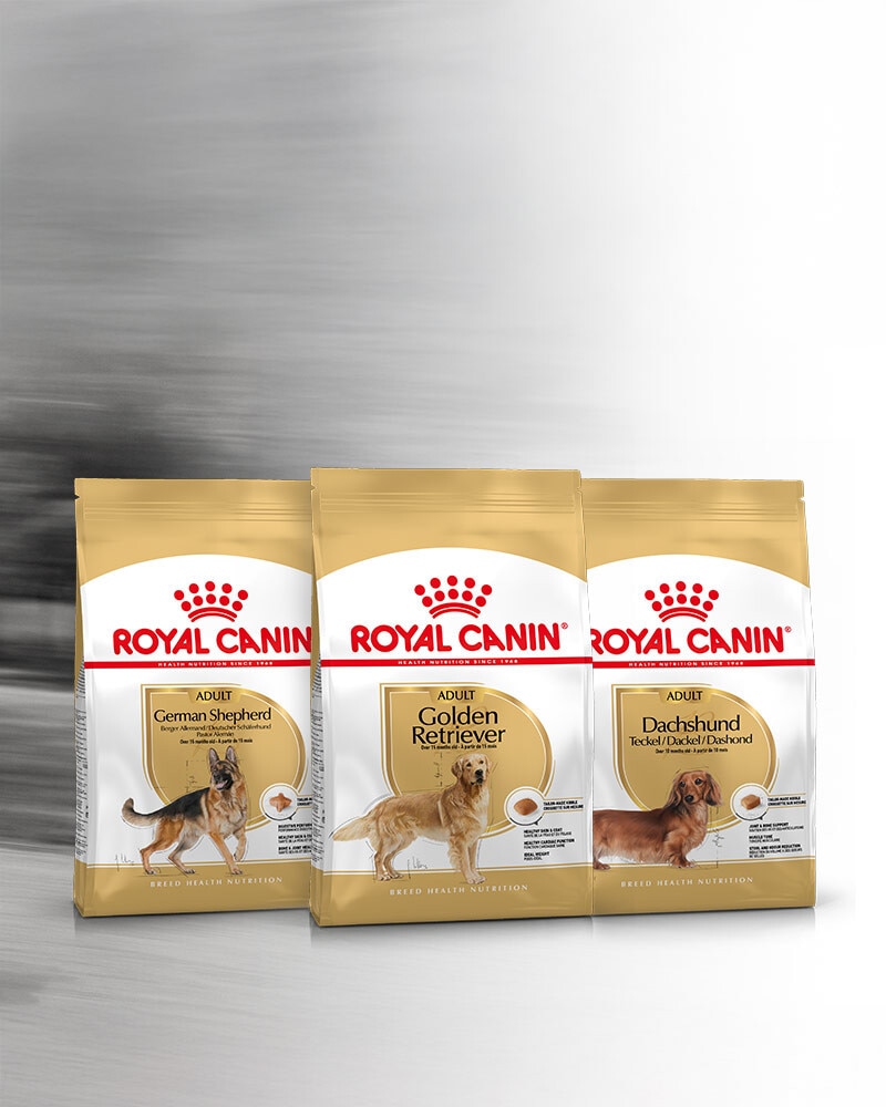 Nutrición Royal Canin específica según la raza de tu Perro