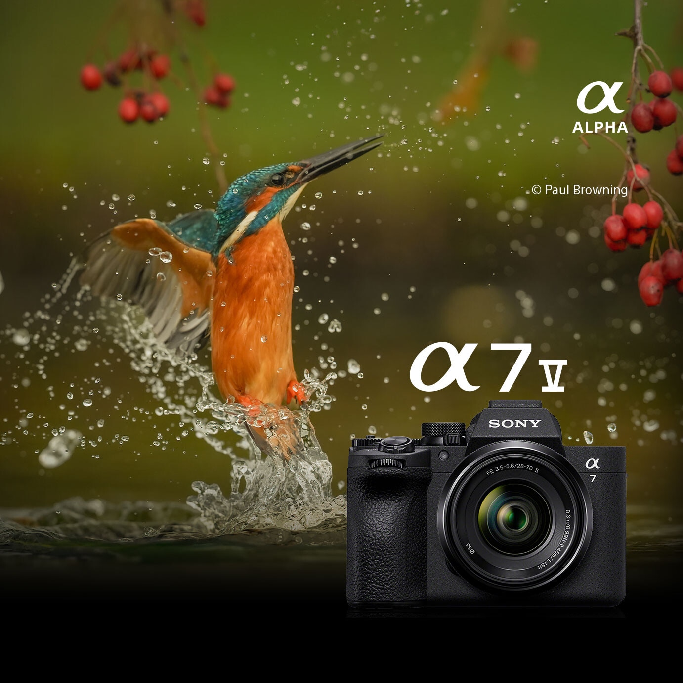 Sony Alpha 7 V