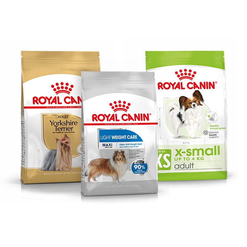 Alimento seco para perro